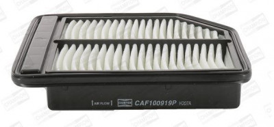 VX40AIRF - AIR FILTER