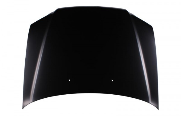 CRV10BON - BONNET * 97-01
